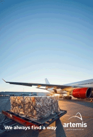 click to visit Artemis Aerospace