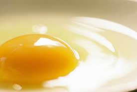 Fried Egg