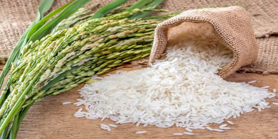 Rice