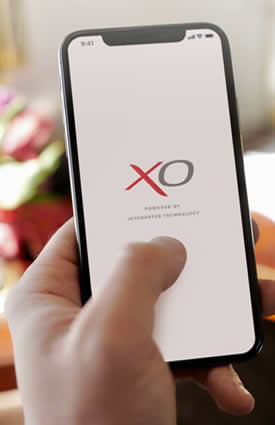 XO