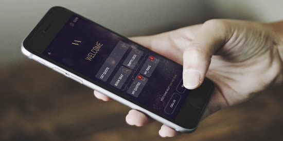 Vertis Aviation App