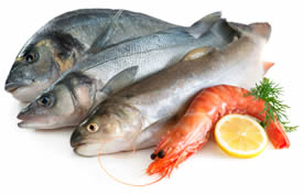 seafood