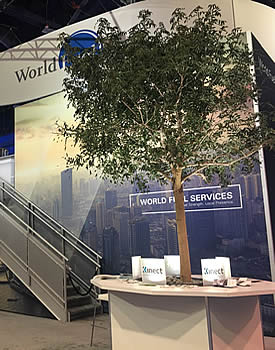 WFS tree