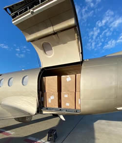 Cargo Door