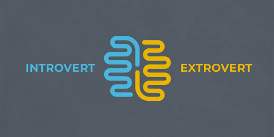 Introvert/Extrovert