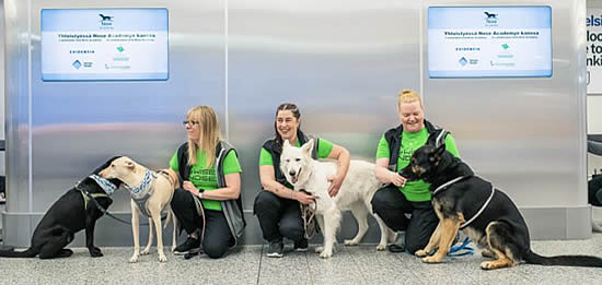 Paws for thought with Norwegian airport operator