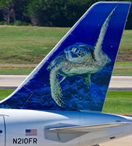 Low fares and attractive animal tails will appeal to families. One of the newest Frontier Airlines Animal tails - Ted, the Sea Turtle.