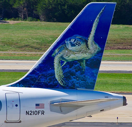 Low fares and attractive animal tails will appeal to families. Here's one of the newest Frontier Airlines Animal tails - Ted, the Sea Turtle.