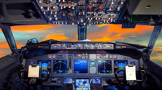 Flight Sim