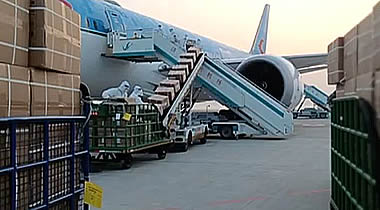 Covid 19: the impact on aviation and how the air charter industry kept the world moving