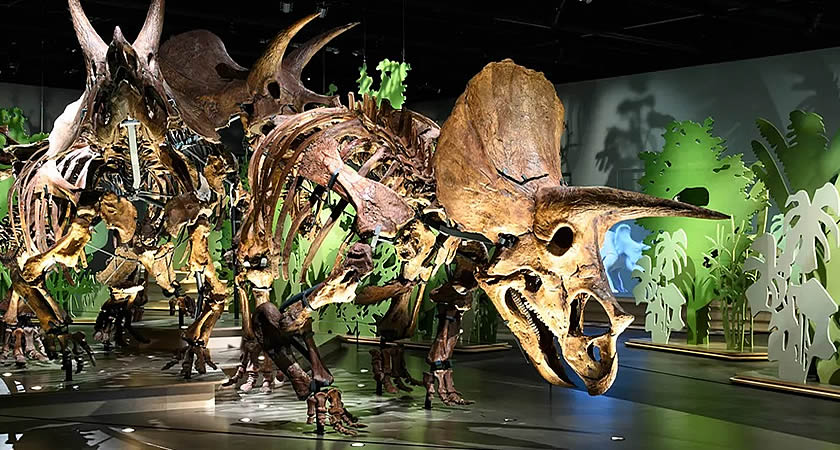 Naturalis Biodiversity Center