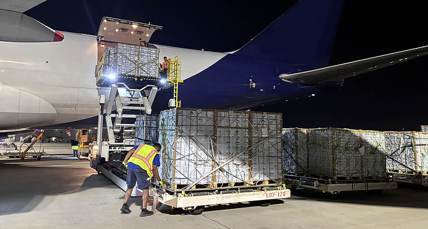 Air Charter Service flies 440 tons of Peruvian berries into NYC