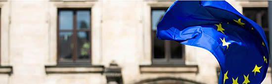 Associations welcome Court decision on EU Taxonomy