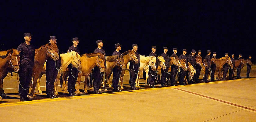 Chapman Freeborn Group has completed a specialist live animal charter operation transporting 121 Mongolian horses between Ulaanbaatar and Hanoi, in collaboration with Intradco Global, its dedicated live animal transport brand. Chapman Freeborn Group has completed a specialist live animal charter operation transporting 121 Mongolian horses between Ulaanbaatar and Hanoi, in collaboration with Intradco Global, its dedicated live animal transport brand.