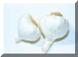 Garlic.jpg (187158 bytes)